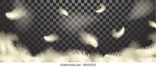 Round circle stylish frame with white leaves for the text or photos. Easy style, can be used in flyers, banners, web. Light cute feathers design. Elements for design. Vector illustration. EPS 10.