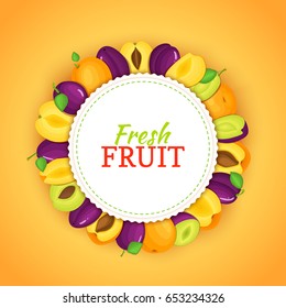 Round colored frame composed of apricot plum. Vector card illustration. Fruit label.