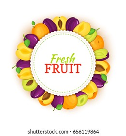 Round colored frame composed of apricot plum. Vector card illustration. Fruit label.