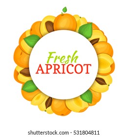 Round colored frame composed of delicious apricot fruit. Vector card illustration. Circle apricot frame. Ripe fresh apricots fruits appetizing looking for packaging design of juice, breakfast food