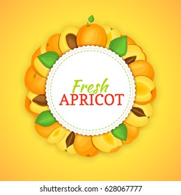 Round colored frame composed of delicious apricot fruit. Vector card illustration. Circle apricot frame. Ripe fresh apricots fruits appetizing looking for packaging design of juice, breakfast food