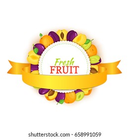 Round colored frame composed of delicious apricot plum fruit and gold ribbon. Vector card illustration. Circle apricots plums frame. Ripe fresh fruits for packaging design of juice, breakfast food