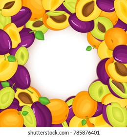 Round colored frame composed of delicious apricots plum fruit. Vector card illustration. Circle hole apricots, plums frame. Ripe fruits for design of food packaging juice breakfast cosmetic detox diet