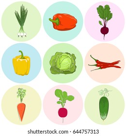 Round Colored Icons Vegetables, Fresh Cucumber, Green Onion and Beetroot, Orange and Yellow Sweet Pepper, Icons Radish and Hot Chile Pepper, Carrot with White Cabbage, Vector Illustration