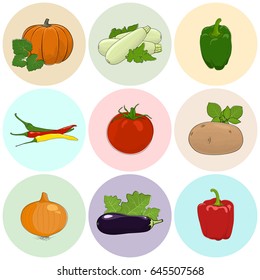 Round Colored Icons Vegetables, Tomato, Onion and Potato, Green and Red Sweet Pepper, Icons Zucchini Courgette and Hot Pasilla Chile Pepper, Pumpkin with White Cabbage, Eggplant, Vector Illustration