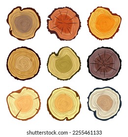 Round colorful tree trunk cuts, sawn pine or oak slices, lumber. Saw cut timber, wood. Brown wooden texture with tree rings. Hand drawn sketch. Vector illustration