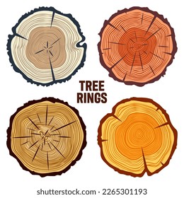 Round colorful tree trunk cuts, sawn pine or oak slices, lumber. Saw cut timber, wood. Brown wooden texture with tree rings. Hand drawn sketch. Vector illustration