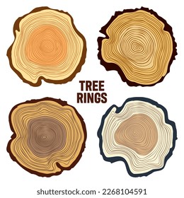 Round colorful tree trunk cuts, sawn pine or oak slices, lumber. Saw cut timber, wood. Brown wooden texture with tree rings. Hand drawn sketch. Vector illustration