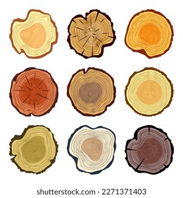 Round colorful tree trunk cuts, sawn pine or oak slices, lumber. Saw cut timber, wood. Brown wooden texture with tree rings. Hand drawn sketch. Vector illustration