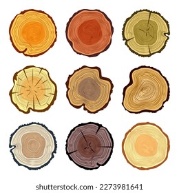 Round colorful tree trunk cuts, sawn pine or oak slices, lumber. Saw cut timber, wood. Brown wooden texture with tree rings. Hand drawn sketch. Vector illustration