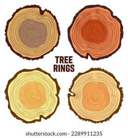 Round colorful tree trunk cuts, sawn pine or oak slices, lumber. Saw cut timber, wood. Brown wooden texture with tree rings. Hand drawn sketch. Vector illustration
