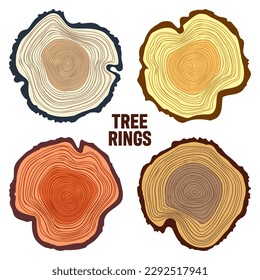 Round colorful tree trunk cuts, sawn pine or oak slices, lumber. Saw cut timber, wood. Brown wooden texture with tree rings. Hand drawn sketch. Vector illustration