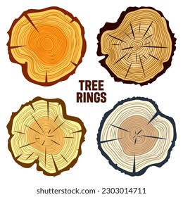 Round colorful tree trunk cuts, sawn pine or oak slices, lumber. Saw cut timber, wood. Brown wooden texture with tree rings. Hand drawn sketch. Vector illustration