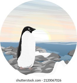 Round composition. Adelie penguin on a pebbly ocean shore. Birds of the South Pole. Realistic vector landscape