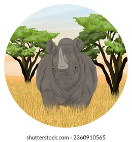 Round composition. An adult white rhinoceros in African savannah. Sunset in Africa. Realistic vector landscape