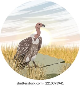 Round composition. African vulture sits on a rock in the savannah. wild carrion birds. Realistic vector landscape