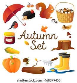 Round composition of autumn seasonal attributes with red umbrella  pumpkin mushrooms rakes and hedgehog isolated vector illustration 