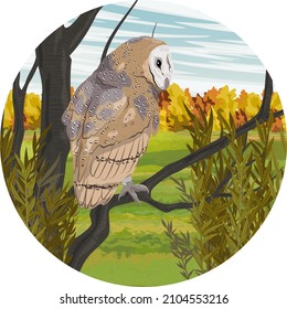 Round composition. A barn owl looks at the autumn landscape while sitting on a tree branch. Realistic vector landscape
