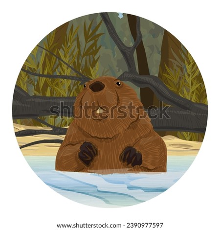 Round composition. A beaver looks out of the water near the river bank. Realistic vector landscape