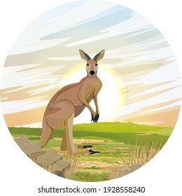 Round composition. Big red kangaroo at sunset. Macropus rufus. Realistic vector landscape