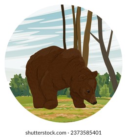 Round composition. A brown bear walks through a meadow. Realistic Vector Landscape