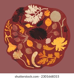 Round composition created with plants or herbals, flowers, and fruits. Neatly arranged plant parts with watercolor texture. Design element for web or print usage.