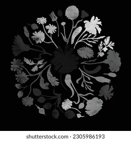 Round composition created with plants or herbals, flowers, and fruits. Neatly arranged plant parts with watercolor texture. Design element for web or print usage.