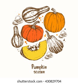 Round composition with different varieties of sketch pumpkins. Vector illustration of the autumn harvest. Thanksgiving Day. 