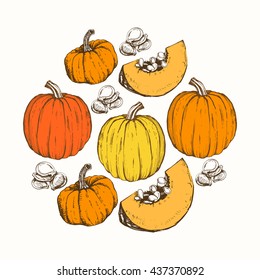 Round composition with different varieties of sketch pumpkins. Vector illustration of the autumn harvest. Thanksgiving Day. 