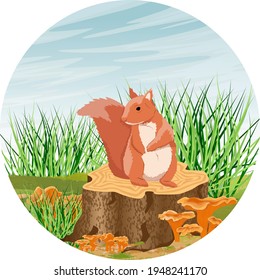 Round composition. Eurasian red squirrel Sciurus vulgaris sits on a tree stump near green grass and chanterelle mushrooms. Autumn vector landscape