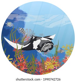 Round composition with giant oceanic manta ray swims near a tropical coral reef with algae and colorful tropical fish. Manta rays Mobula birostris. Realistic vector seascape