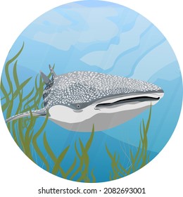 Round composition. The great whale shark Rhincodon swims in the water with green algae and tropical fish. Giant fish of the World Ocean. Realistic vector underwater landscape