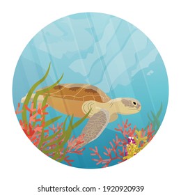 Round composition. Green sea turtle swimming under water. Tropical underwater landscape. Coral reef with coral. Realistic Vector illustration of a sea life