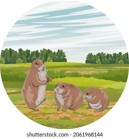 Round composition. A group of prairie dogs in a green meadow. Wild rodents of North America. Realistic vector landscape