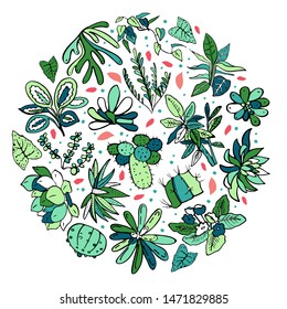 Round composition with houseplants, cactuses and succulents. Vector color hand drawn outline sketch illustration on white background