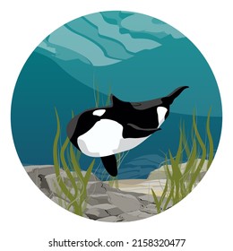 Round composition. The killer whale swim in the dark cold waters of the ocean and hunts for a school of fish. realistic vector