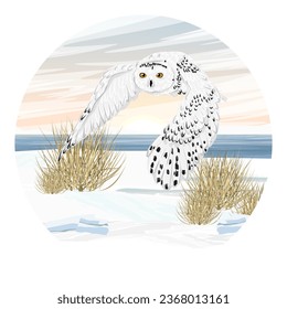 Round composition. A large polar owl flies over the seashore. Wild birds of the Arctic. Realistic vector landscape