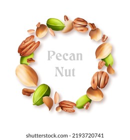 Round composition with macadamia nuts, pistachios, pecans. Vector illustration.