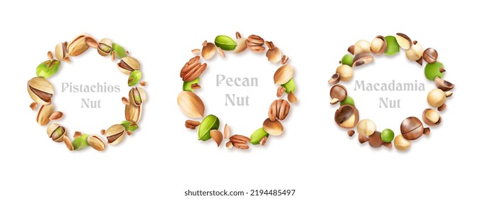 Round composition with macadamia nuts, pistachios, pecans. Vector illustration.