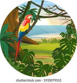 Round composition. Macaw parrot sitting on a liana. Jungle. A tropical forest by the sea. Realistic Vector Landscape