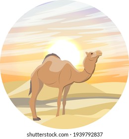 Runde Zusammensetzung. Ein eingewölbtes arabisches Kamel steht in der Wüste auf dem Hintergrund von Sanddünen und Sonnenuntergang. Das Dromedar Camelus dromedarius. Vektorrealistische Landschaft 