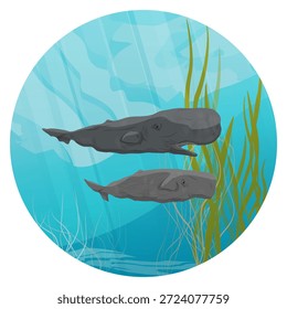 Round composition. A pair of sperm whales swim through the water past a kelp forest. Realistic vector landscape.
