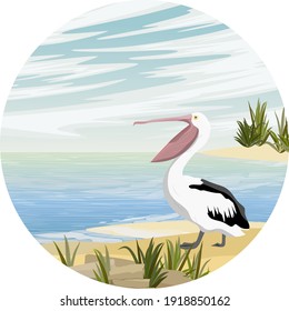 Composición redonda. Un pájaro pelícano se para en la orilla de arena del río en las gargantas de la hierba costera. Aves silvestres de Australia, Nueva Guinea e Indonesia. Ilustración vectorial realista