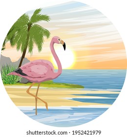 Round composition. Pink flamingo in the warm blue water. Tropical islands with palm trees. Summer. Birds of Africa and South America. Anser caerulescens. Realistic vector landscape