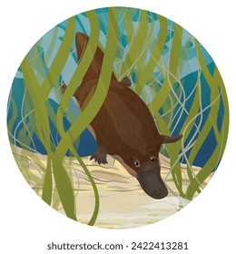 Round composition. The platypus dives in river water. Endemic species of Australia and Tasmania. Realistic vector landscape