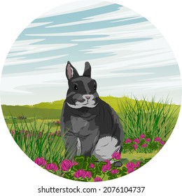 Round composition. A rabbit are sitting in a summer meadow with clover flowers and luscious green grass. Rabbits in the habitat. Realistic vector landscape