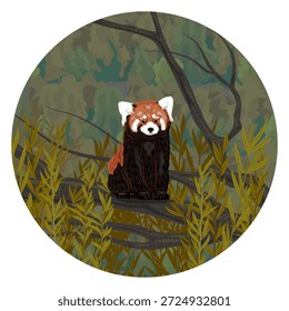 Round composition. A red panda sits on a tree branch in a dense, dark forest. Lesser panda from the Himalayas and China. Realistic vector landscape.