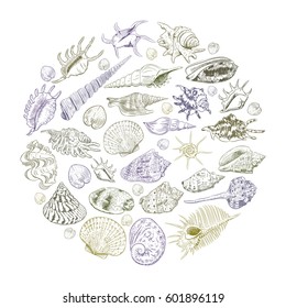 Round composition Summer concept with Unique museum collection of sea shells rare endangered species, molluscs Khaki brown purple contour on white background. card banner design. Vector illustration