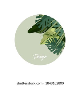 Round composition with tropical leaves on a gray-green background. Idea for design