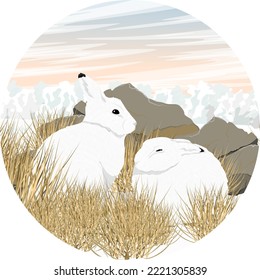 Round composition. Two cute white polar hares are sitting in the snow near a dry bush. Wild animal of the Arctic tundra. Realistic vector landscape